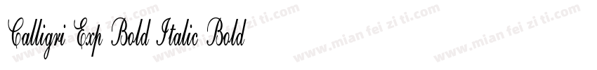 Calligri Exp Bold Italic Bold Itali字体转换